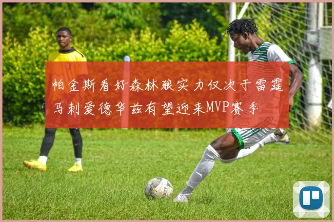 帕金斯看好森林狼实力仅次于雷霆马刺爱德华兹有望迎来MVP赛季