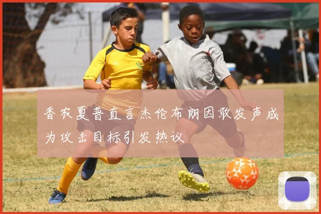 香农夏普直言杰伦布朗因敢发声成为攻击目标引发热议