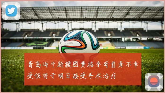 青岛海牛新援图费格季奇首秀不幸受伤将于明日接受手术治疗
