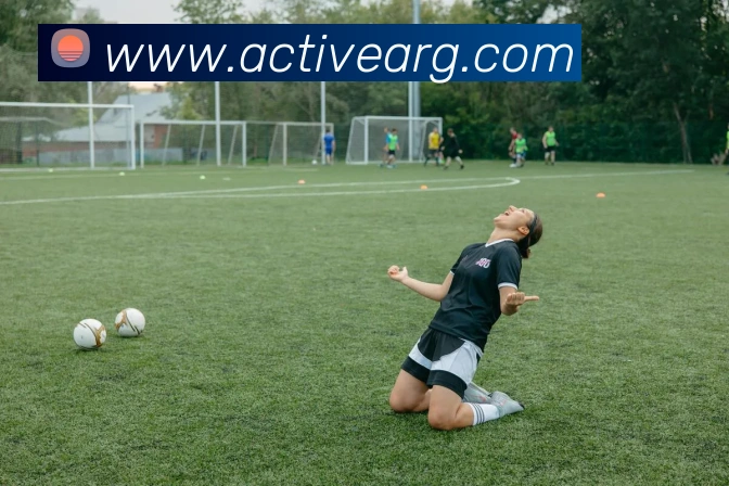 平台展示图